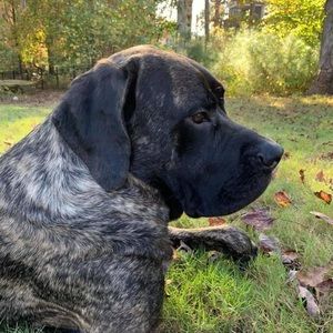 Meet your Posher, Thomas